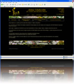 Telford Florists
